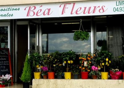 boutique-bea-fleurs-nice-fleuriste