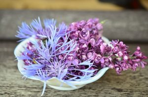 lilas-fete-des-meres