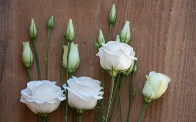 Lisianthus, une magnifique fleur d’été chez votre Fleuriste