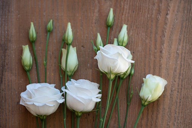 Lisianthus, une magnifique fleur d'été chez votre Fleuriste