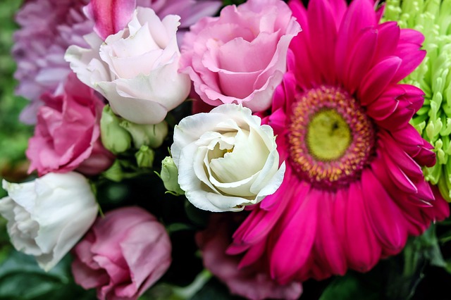 lisianthus-fleurs-bouquet-couleur