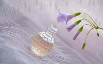 Les 4 meilleures plantes et fleurs odorantes qui vont parfumer votre jardin