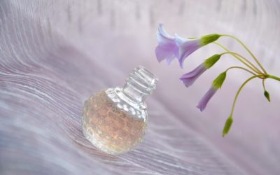 Les 4 meilleures plantes et fleurs odorantes qui vont parfumer votre jardin