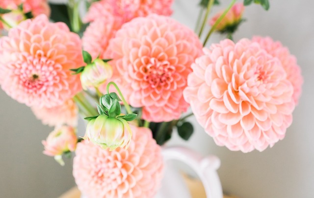 Bouquet de fleurs dans un vase